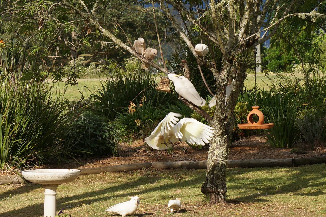 Vicarage View Cottage Kangaroo Valley Exterior foto